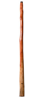 Tristan O'Meara Didgeridoo (TM476)